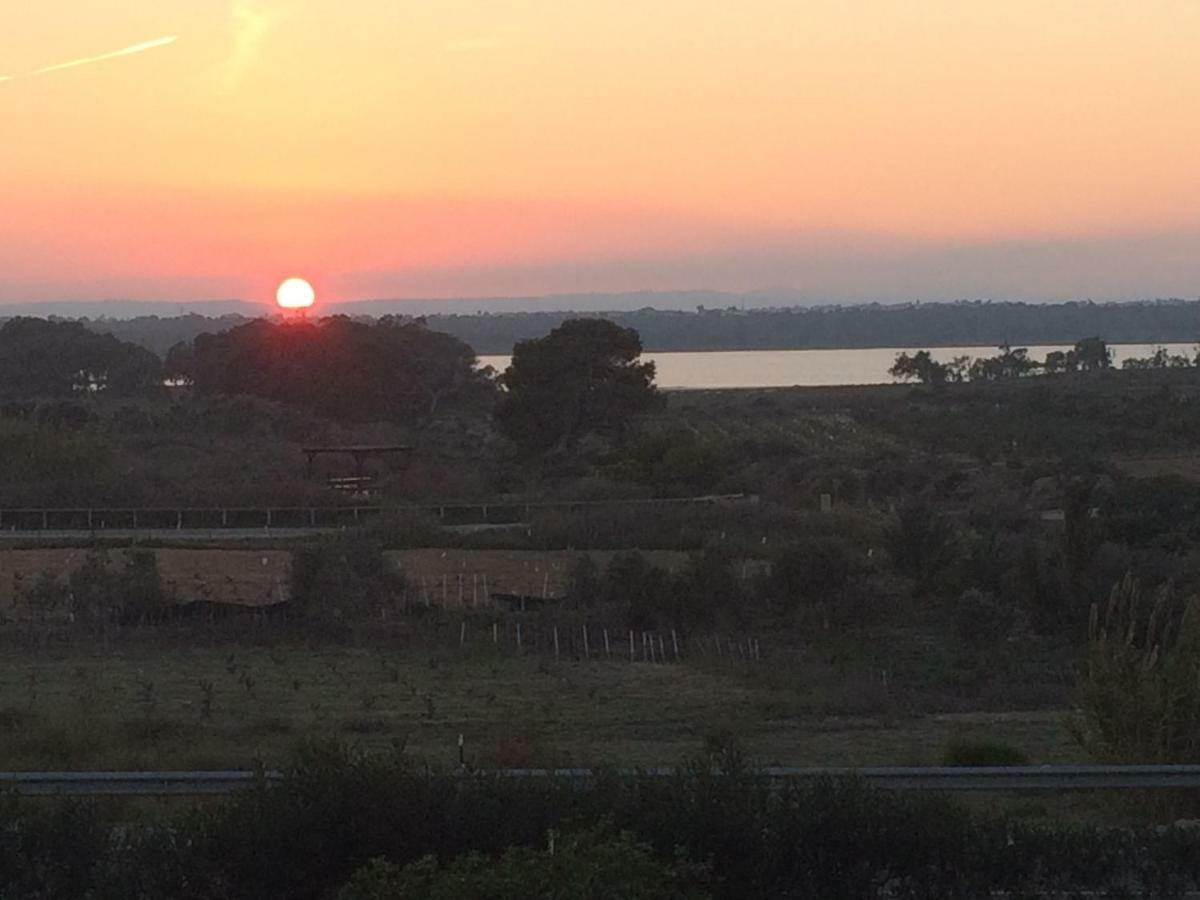 Sunset La Mata Apartment Ла Мата Екстериор снимка